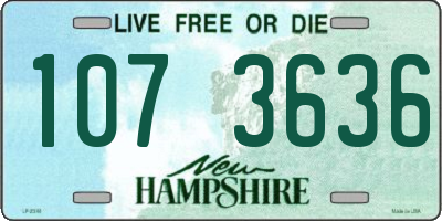 NH license plate 1073636