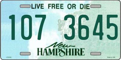 NH license plate 1073645