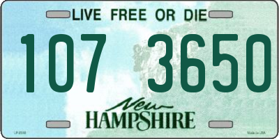 NH license plate 1073650