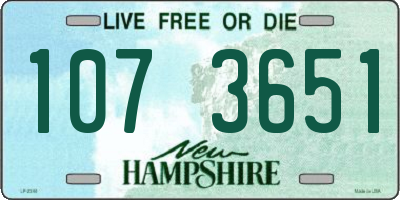 NH license plate 1073651
