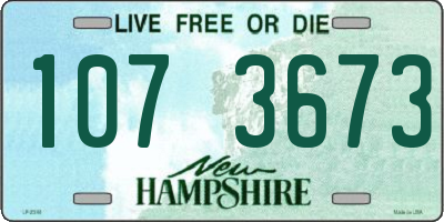NH license plate 1073673