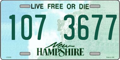 NH license plate 1073677