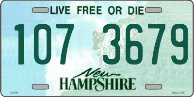 NH license plate 1073679