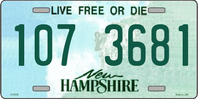 NH license plate 1073681