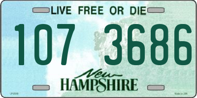 NH license plate 1073686