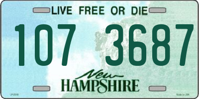 NH license plate 1073687