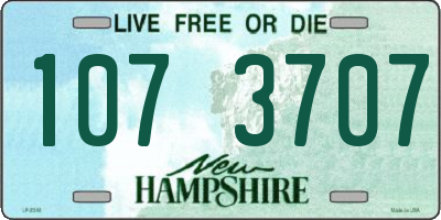 NH license plate 1073707