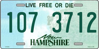 NH license plate 1073712