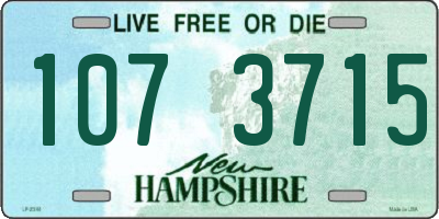 NH license plate 1073715