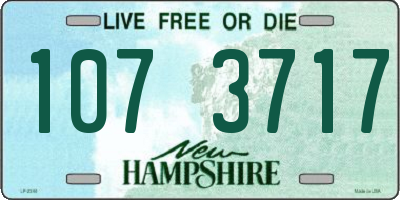 NH license plate 1073717