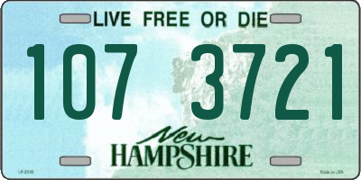 NH license plate 1073721