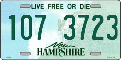 NH license plate 1073723