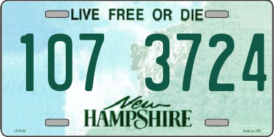 NH license plate 1073724