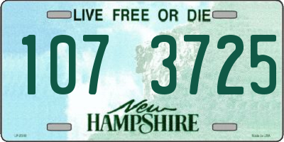 NH license plate 1073725