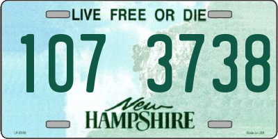 NH license plate 1073738