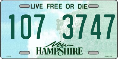 NH license plate 1073747