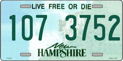 NH license plate 1073752