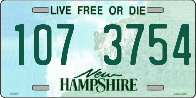 NH license plate 1073754