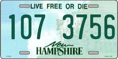 NH license plate 1073756