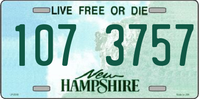 NH license plate 1073757