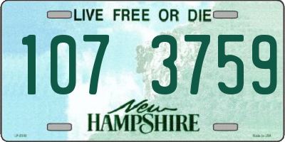 NH license plate 1073759