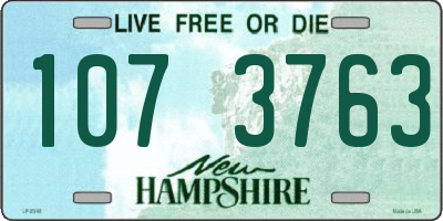 NH license plate 1073763