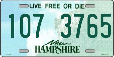 NH license plate 1073765