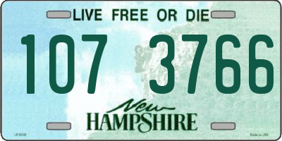 NH license plate 1073766