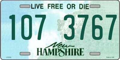 NH license plate 1073767