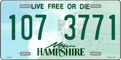NH license plate 1073771