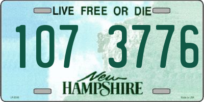 NH license plate 1073776