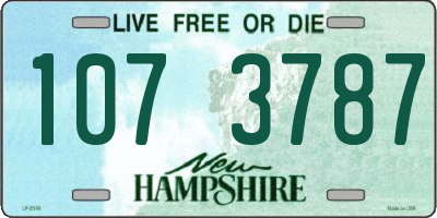 NH license plate 1073787