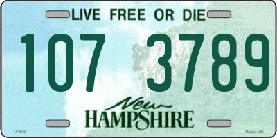 NH license plate 1073789