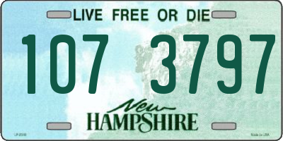 NH license plate 1073797
