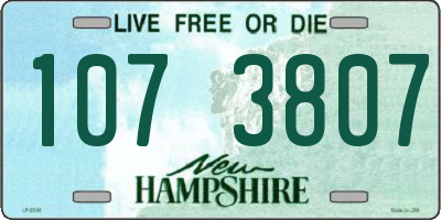 NH license plate 1073807