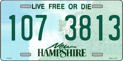NH license plate 1073813
