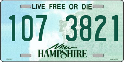 NH license plate 1073821