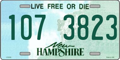 NH license plate 1073823