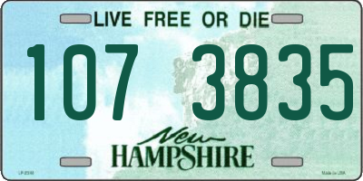 NH license plate 1073835