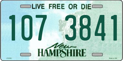 NH license plate 1073841
