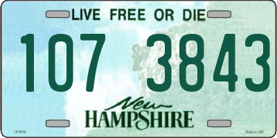 NH license plate 1073843