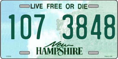 NH license plate 1073848