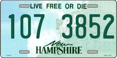 NH license plate 1073852