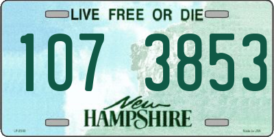 NH license plate 1073853