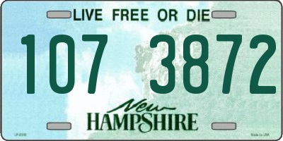 NH license plate 1073872
