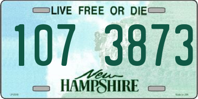 NH license plate 1073873