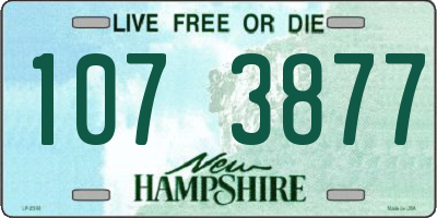 NH license plate 1073877