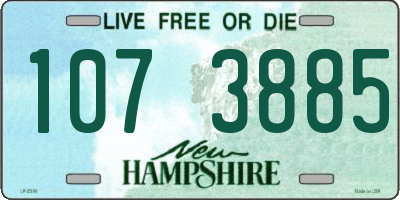 NH license plate 1073885