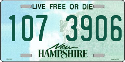NH license plate 1073906