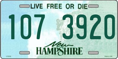 NH license plate 1073920
